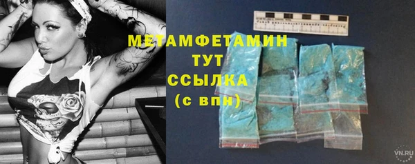 шишки Абаза