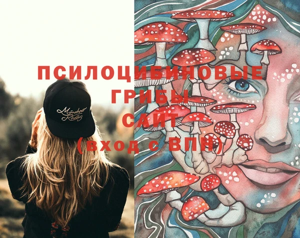 шишки Абаза
