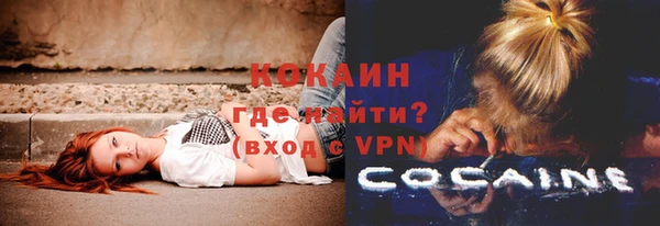 шишки Абаза
