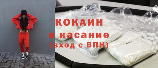 шишки Абаза