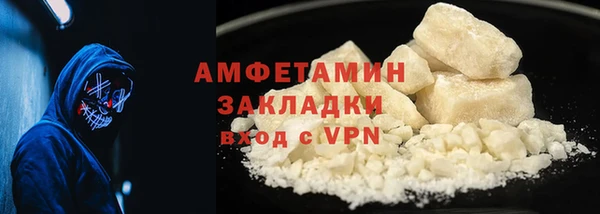 шишки Абаза