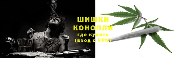 сатива Абдулино