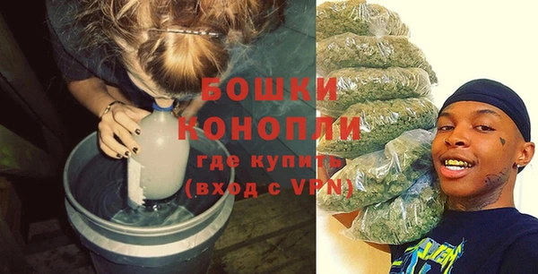 сатива Абдулино