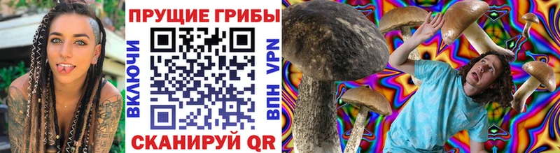 наркотики  Великий Новгород  Галлюциногенные грибы MAGIC MUSHROOMS 